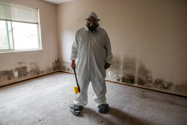 Hesston, KS Mold Remediation Company